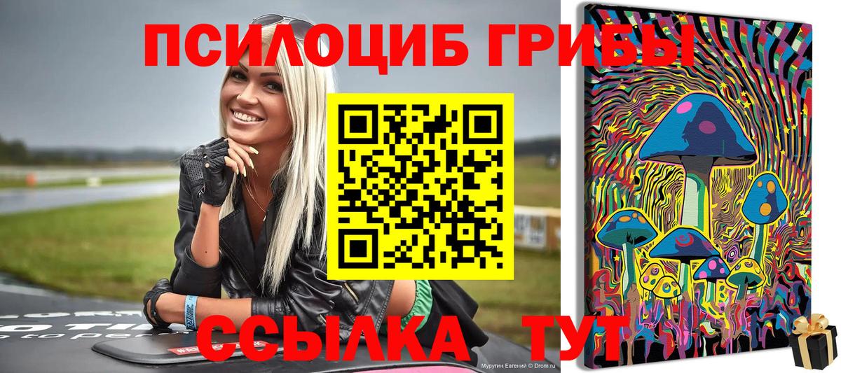 Псилоцибиновые грибы GOLDEN TEACHER  Вход с VPN  Дальнереченск 