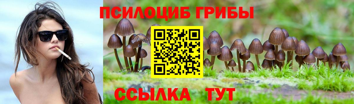 Галлюциногенные грибы Psilocybine cubensis Дальнереченск